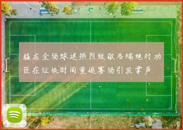 猛龙全场球迷热烈致敬洛瑞绝对功臣在垃圾时间重返赛场引发掌声