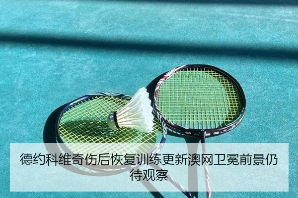 德约科维奇伤后恢复训练更新澳网卫冕前景仍待观察 | PAStream